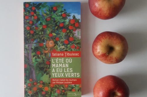 L'été où Maman a eu les yeux verts