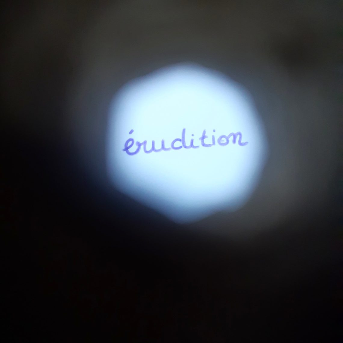 Erudition