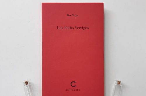 Les petits vertiges