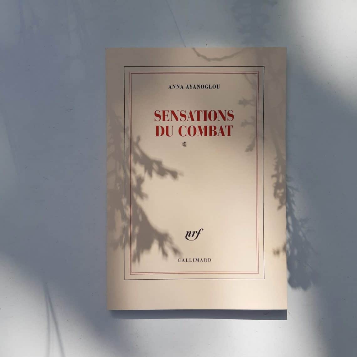 Sensations du combat