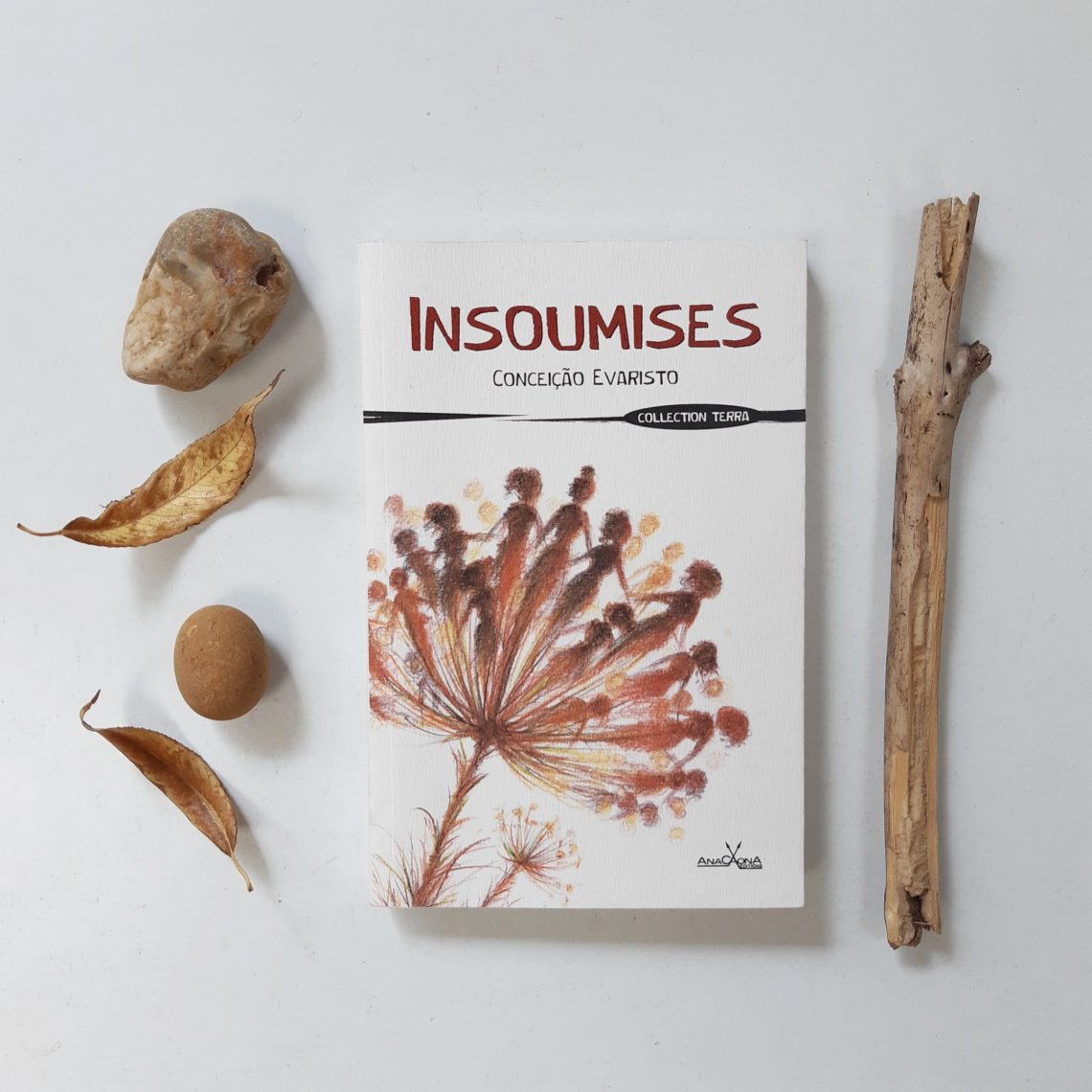 Insoumises