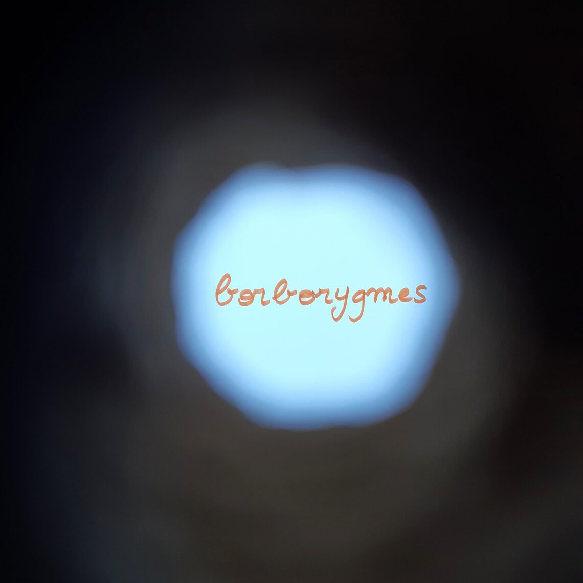 Borborygmes