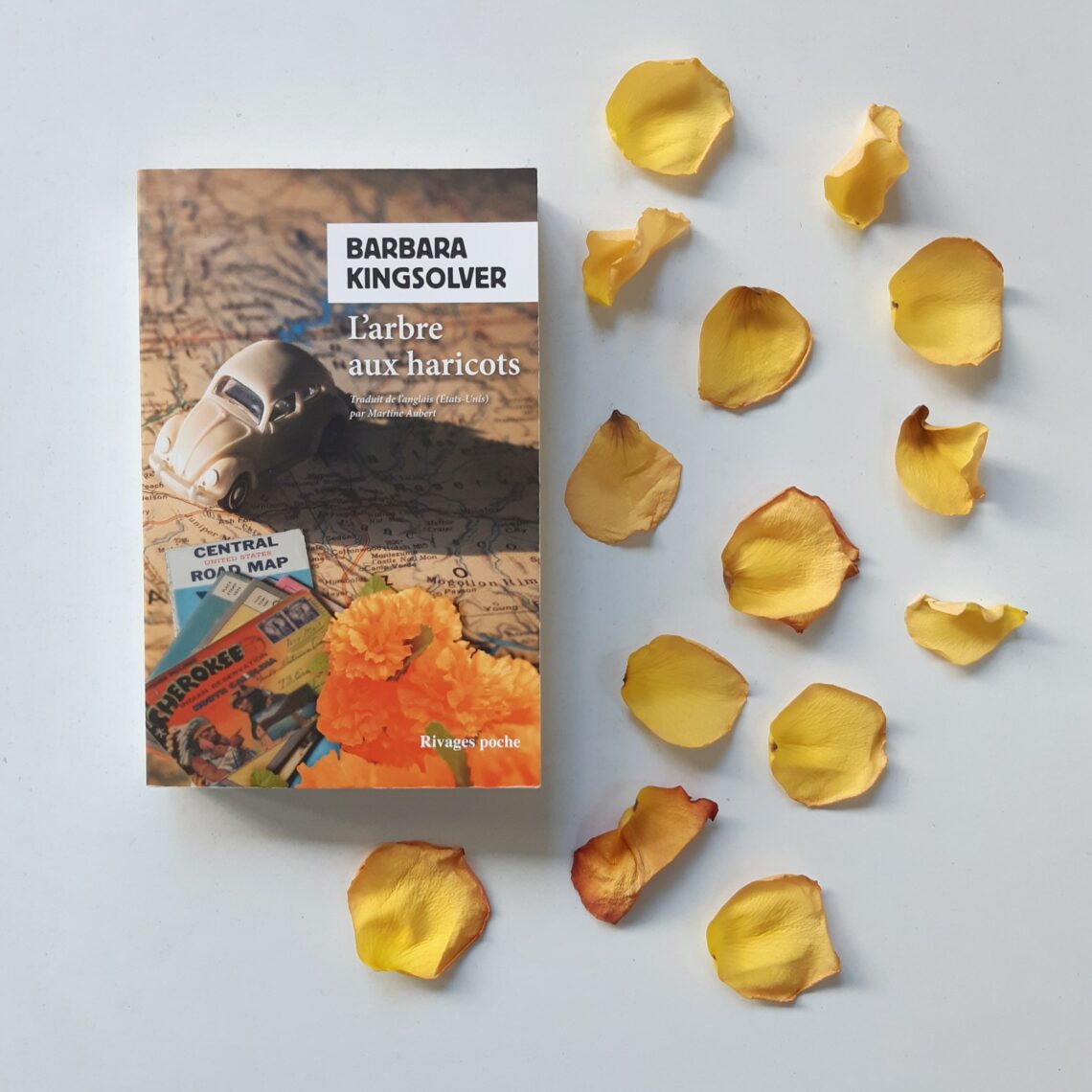 L'arbre aux haricots