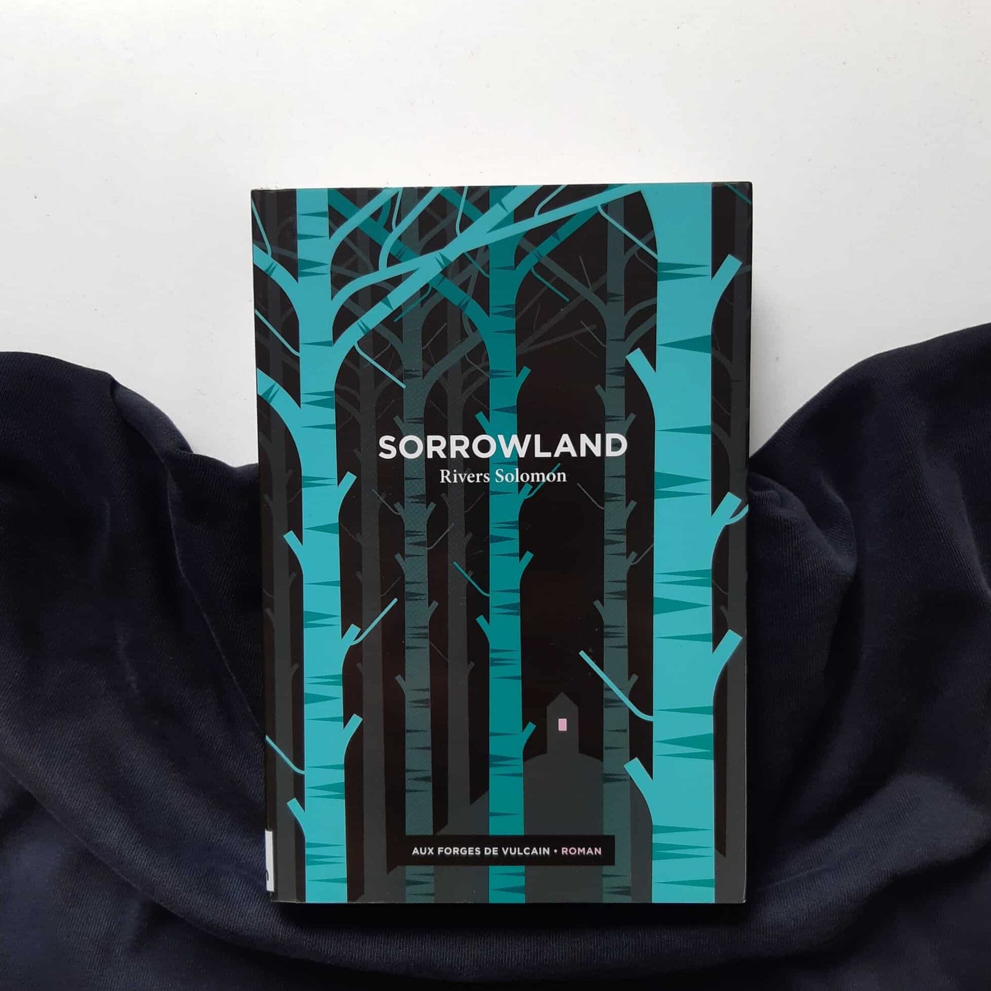 Sorrowland