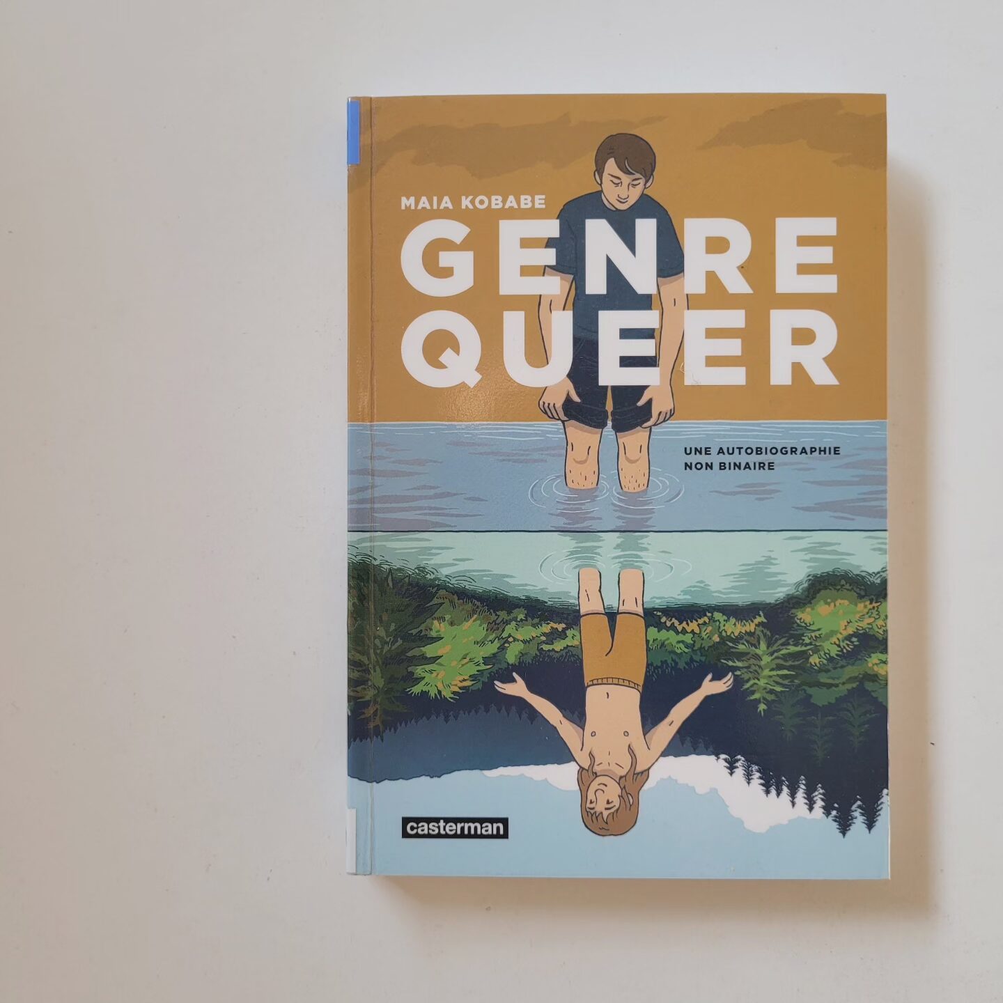 Couverture Genre Queer