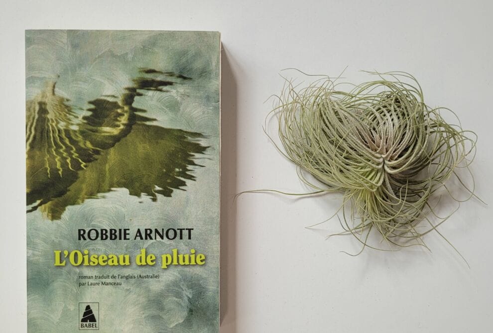 L'oiseau de pluie