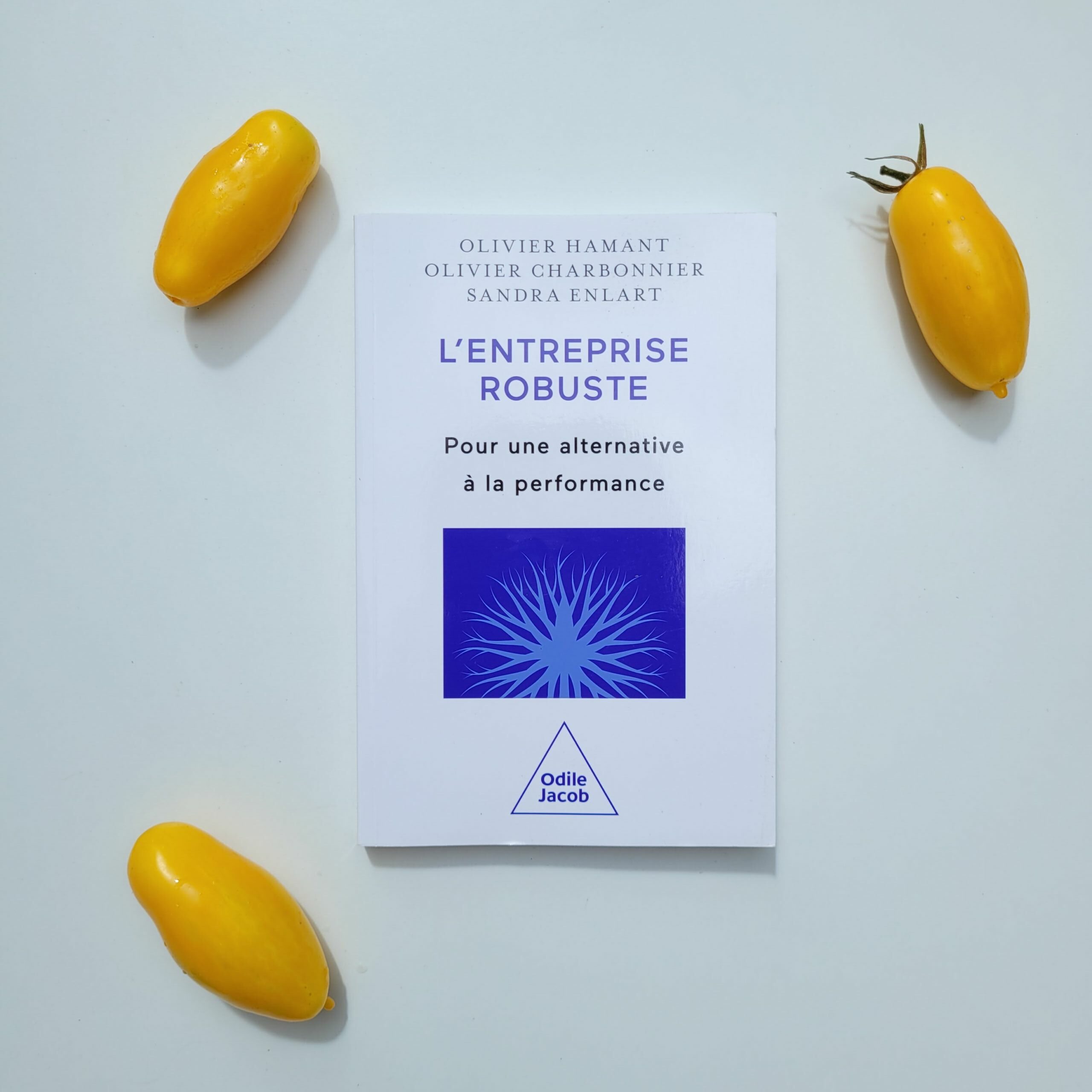 Couverture entreprise robuste