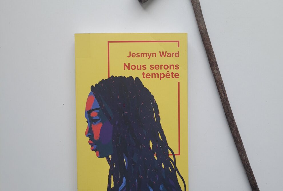 Couverture Nous serons tempête