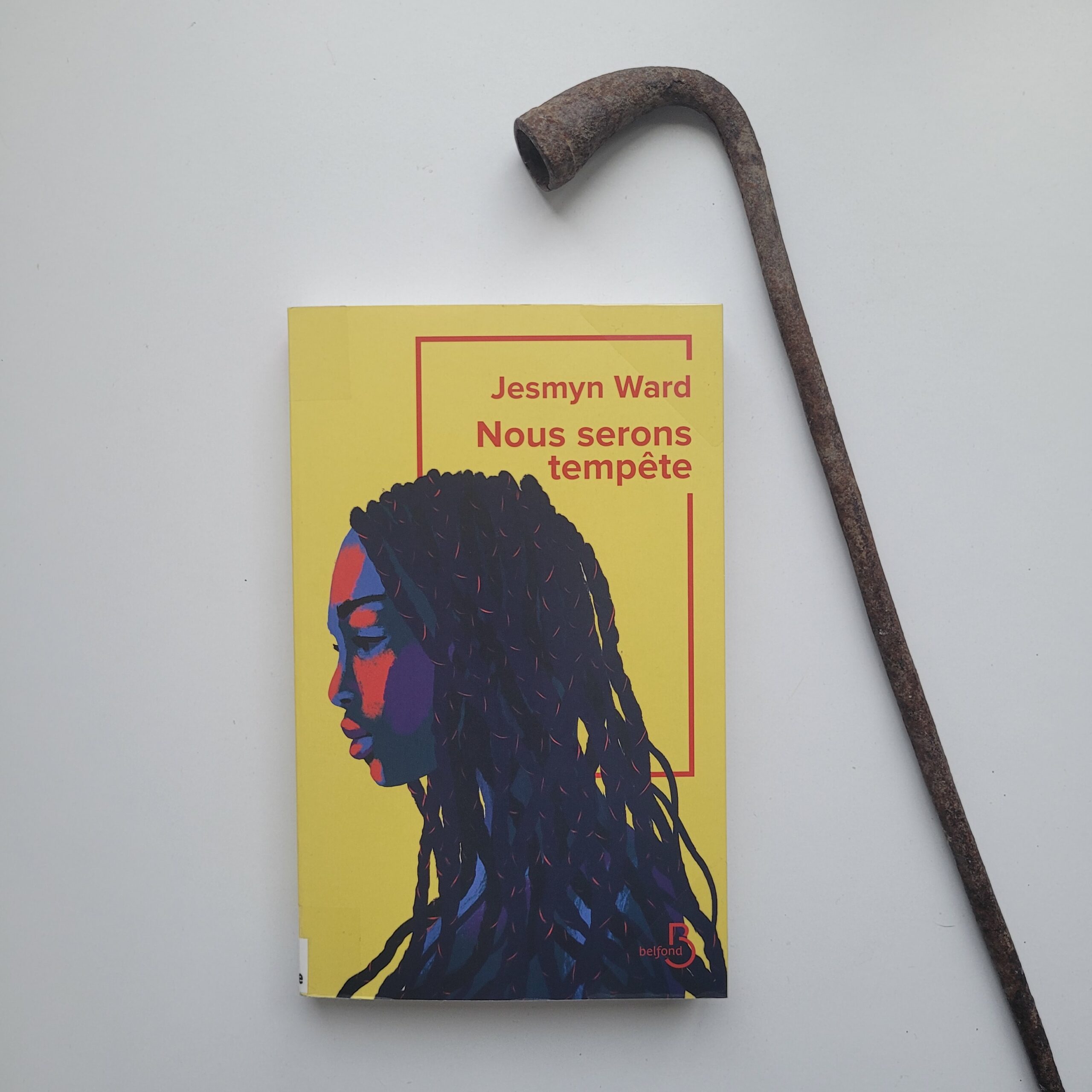 Couverture Nous serons tempête