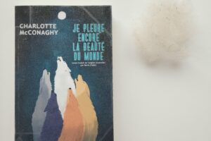 Couverture du livre Je pleure encore la beauté du monde