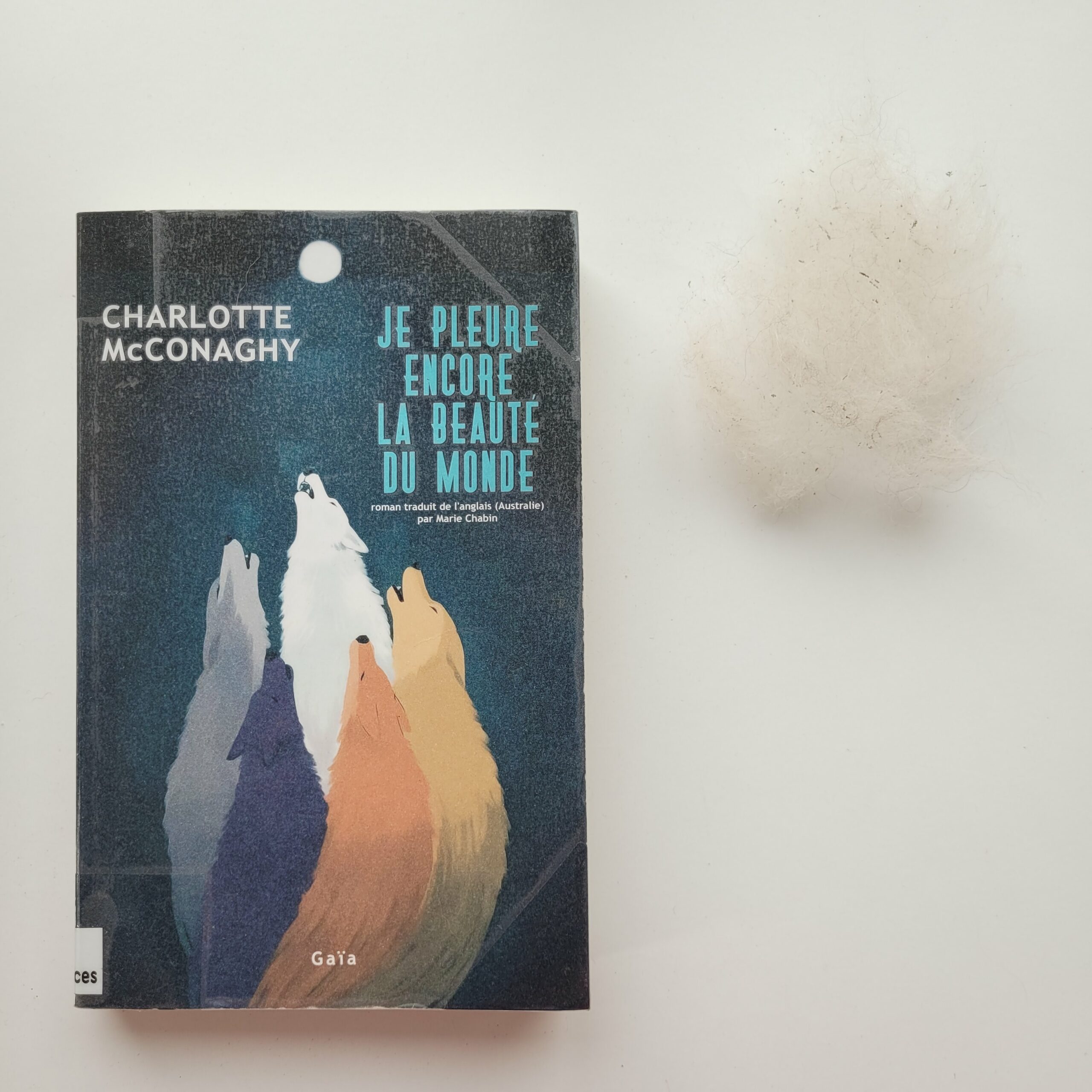 Couverture du livre Je pleure encore la beauté du monde